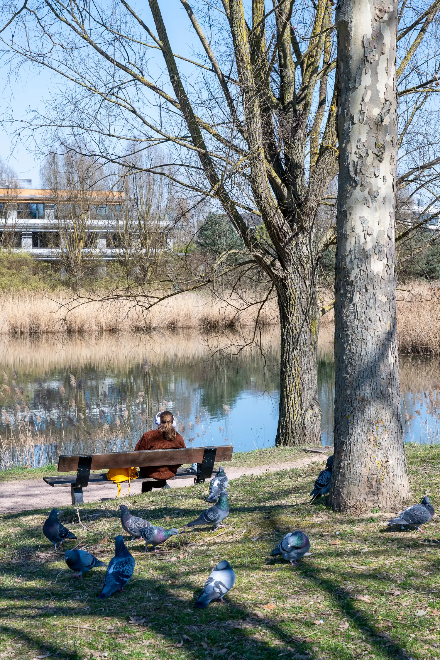 Reportage photo intitulé l'humain dans la ville pour la ville de Schiltigheim l'humain dans la ville photographie de communication prise par Cyril Bécard