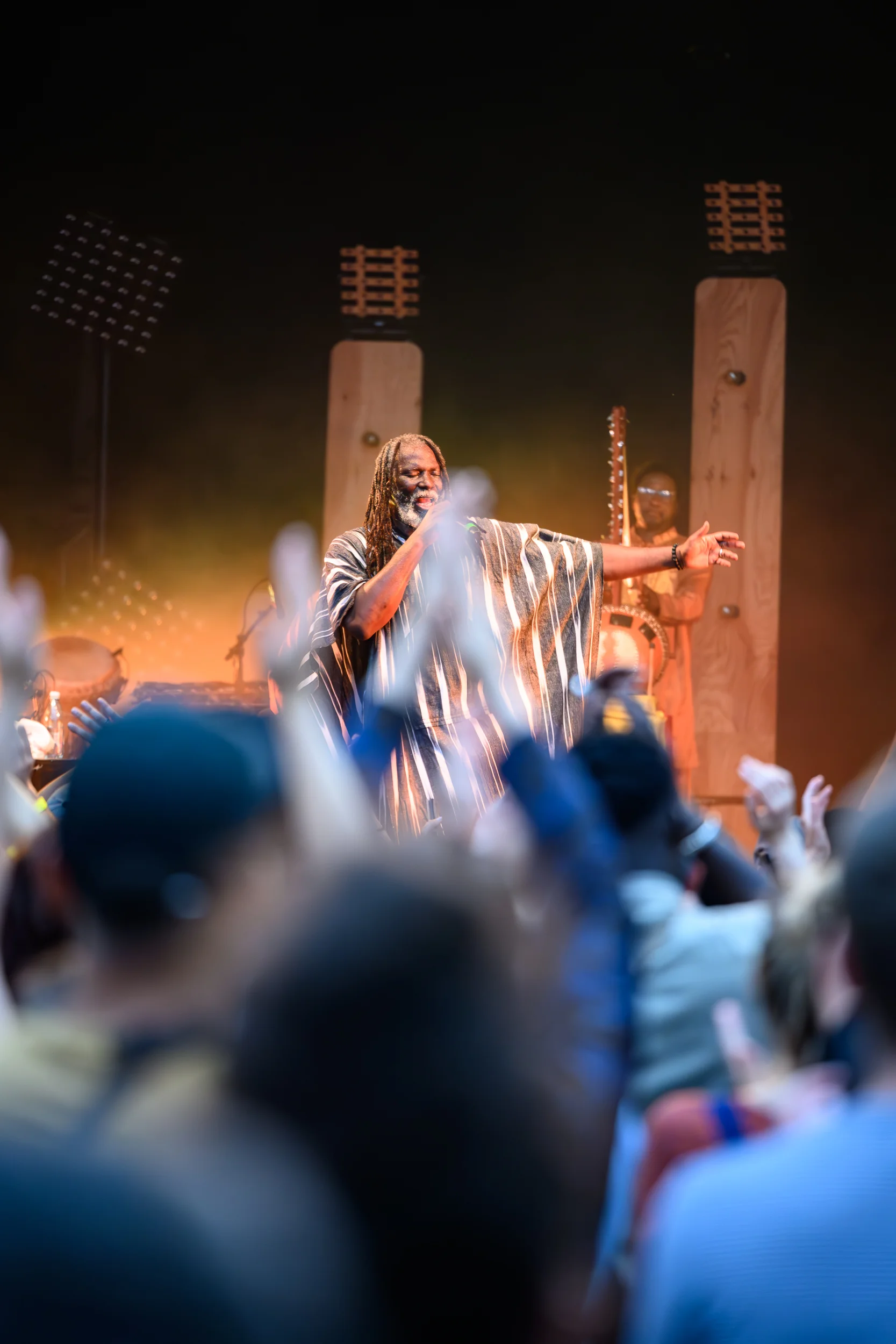 photographie d'évènement prise par Cyril Bécard, concert de Tiken Jah Fakoly Caravan Palace à Wolfijazz
