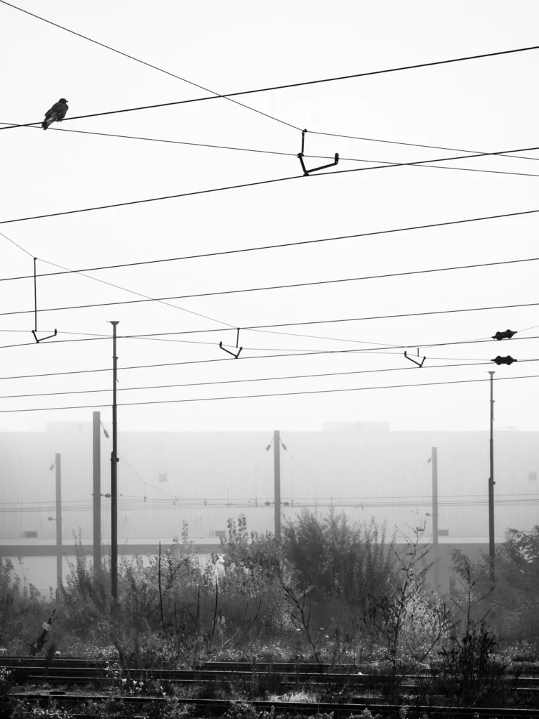 Photographie "sans titre - 7" prise à Strasbourg , issue de la série "La hauteur des choses" réalisée par Cyril BECARD