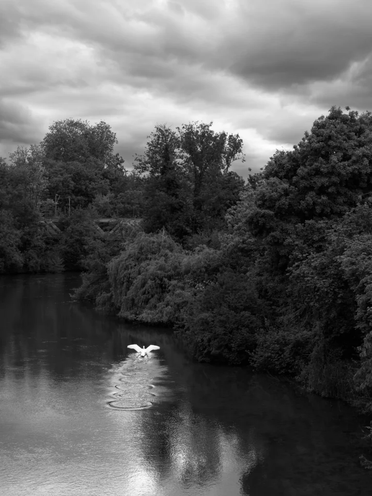 Photographie "sans titre - 1" prise à Strasbourg , issue de la série "La hauteur des choses" réalisée par Cyril BECARD
