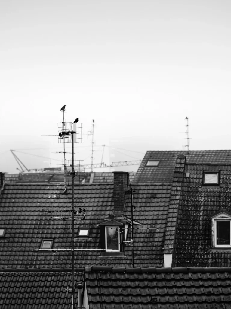 Photographie "sans titre - 3" prise à Strasbourg , issue de la série "La hauteur des choses" réalisée par Cyril BECARD