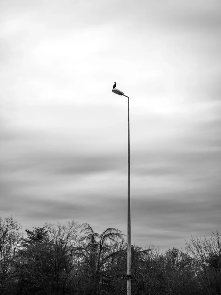 Photographie "sans titre - 6" prise à Strasbourg , issue de la série "La hauteur des choses" réalisée par Cyril BECARD