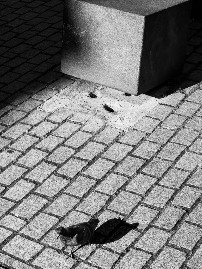 Photographie "sans titre - 5" prise à Strasbourg , issue de la série "La hauteur des choses" réalisée par Cyril BECARD