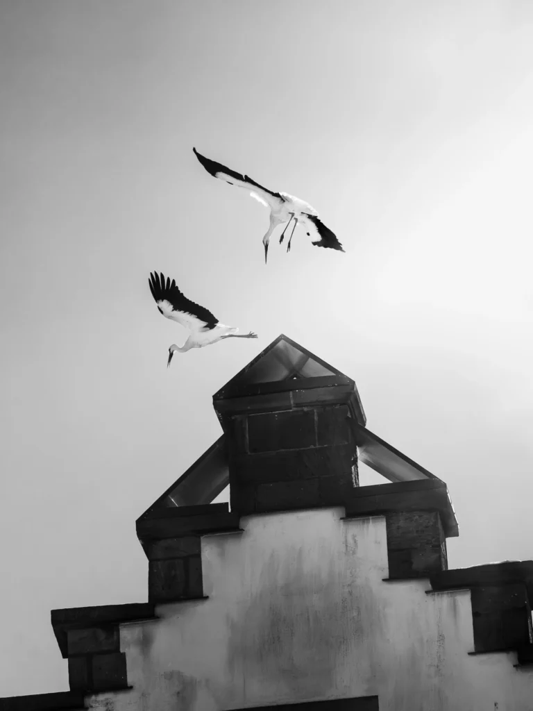 Photographie "sans titre - 4" prise à Strasbourg , issue de la série "La hauteur des choses" réalisée par Cyril BECARD