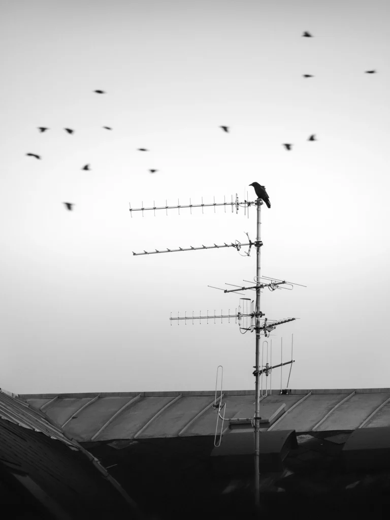 Photographie "sans titre - 1" prise à Strasbourg , issue de la série "La hauteur des choses" réalisée par Cyril BECARD