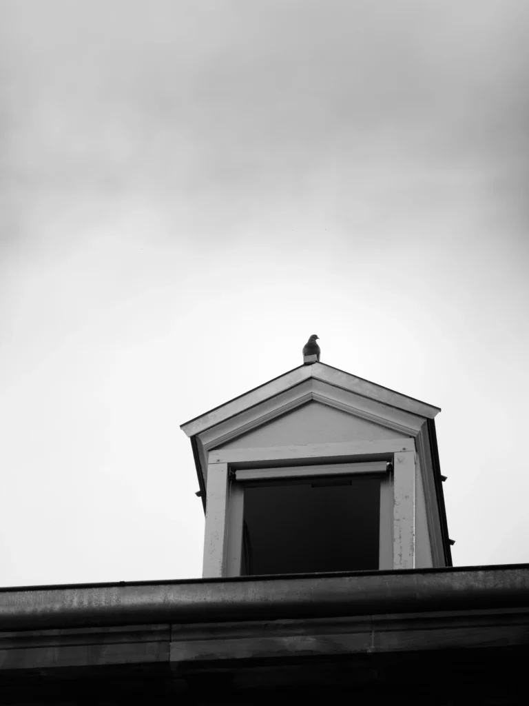 Photographie "sans titre - 9" prise à Strasbourg , issue de la série "La hauteur des choses" réalisée par Cyril BECARD