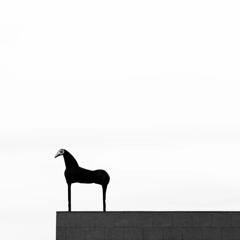 photographie d'art Strasbourg tirages originaux détail sculpture cheval mamcs noir et blanc