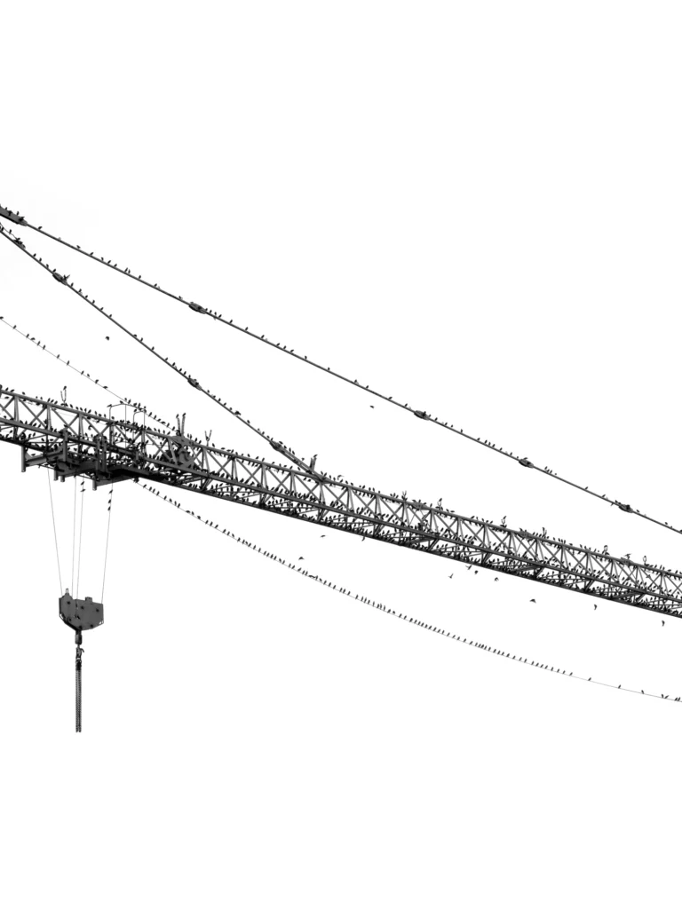 photographie d'art Strasbourg Neudorf 10 grue et oiseaux série fragments photographie prise par Cyril Bécard